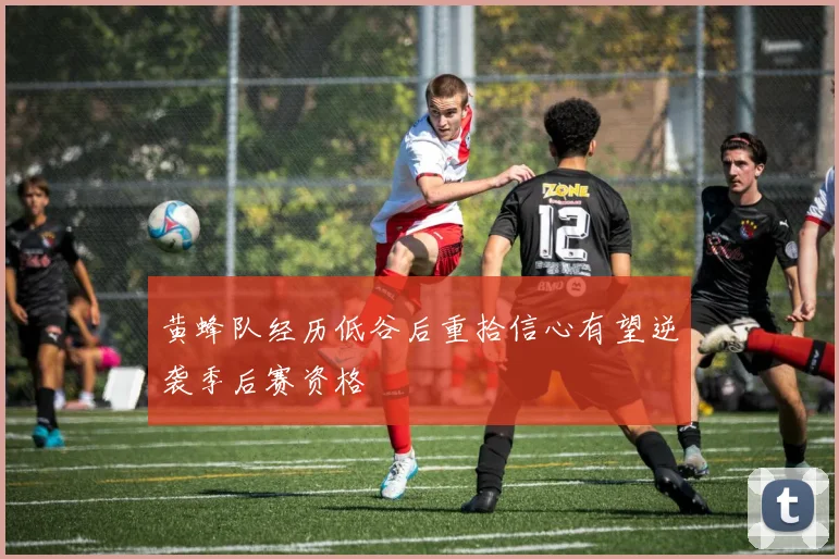 黄蜂队经历低谷后重拾信心有望逆袭季后赛资格